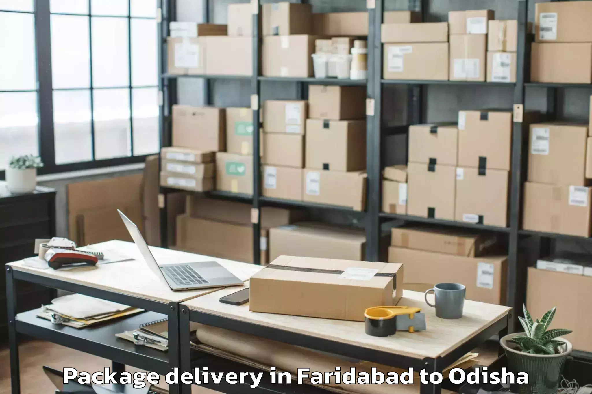 Quality Faridabad to Thuamul Rampur Package Delivery